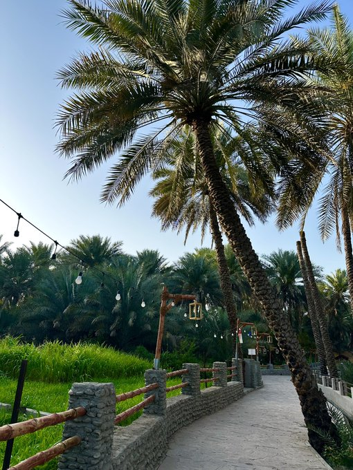 جمــانة بنت سعود tweet media