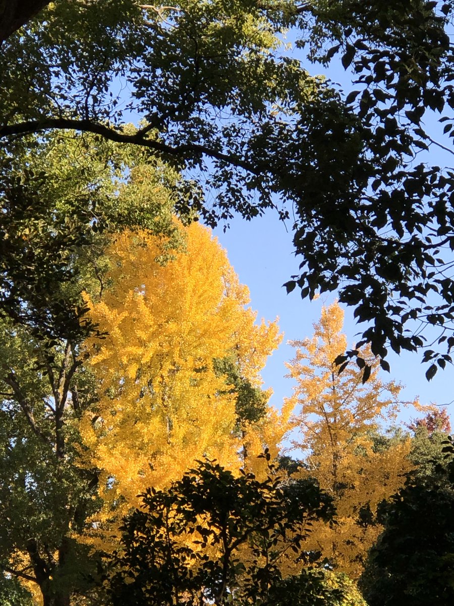 今日の長居、雨どころか雲ひとつない快晴☀️ てるてる坊主の効果