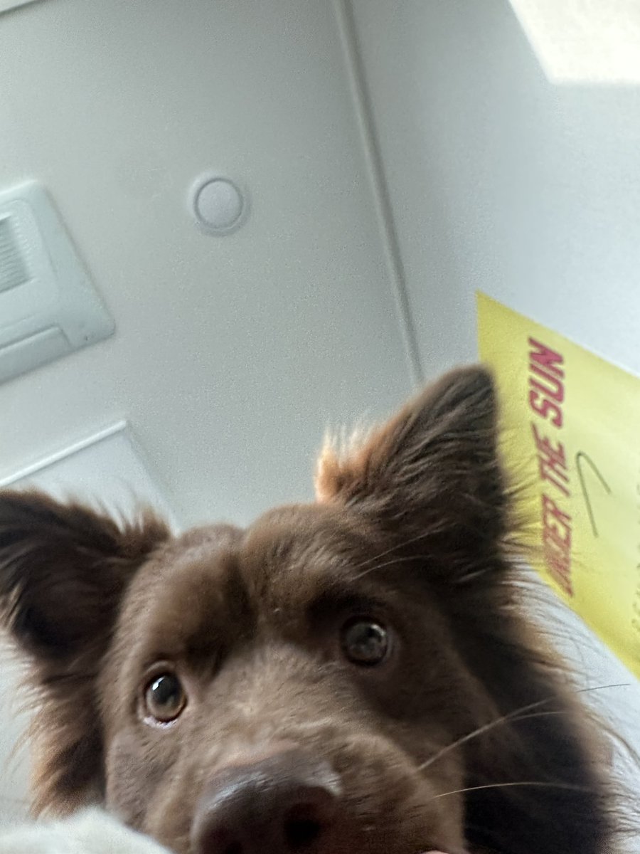 놀아
달라고
엄마
좋은말할때
빨리
더
놀아달라고