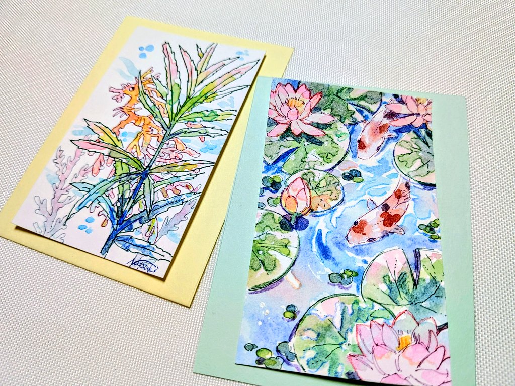本日の追加分🐟️
