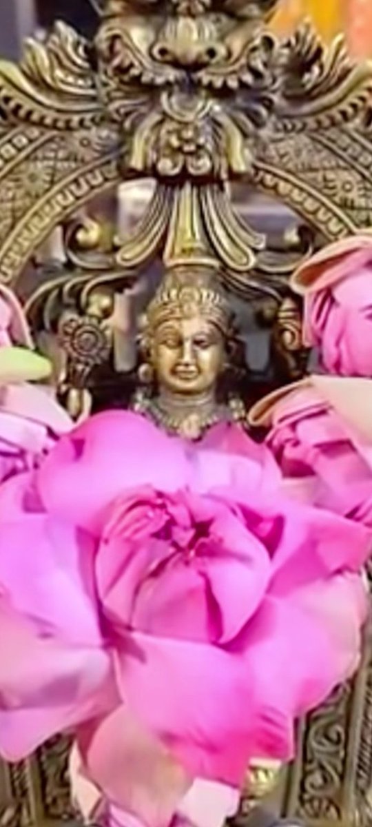 Sajitha97273316's tweet photo. hai friends https://t.co/R9u42K9qg0