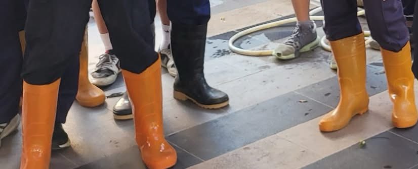 kc lee (@kclee0547216816) on Twitter photo 