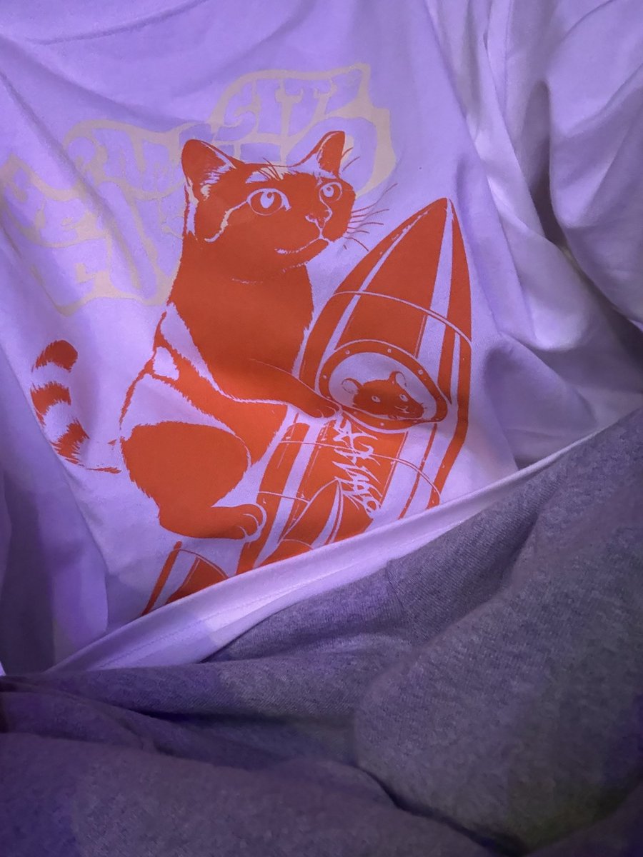 キズ 来夢 (@Kizu_LiME) / Posts / X