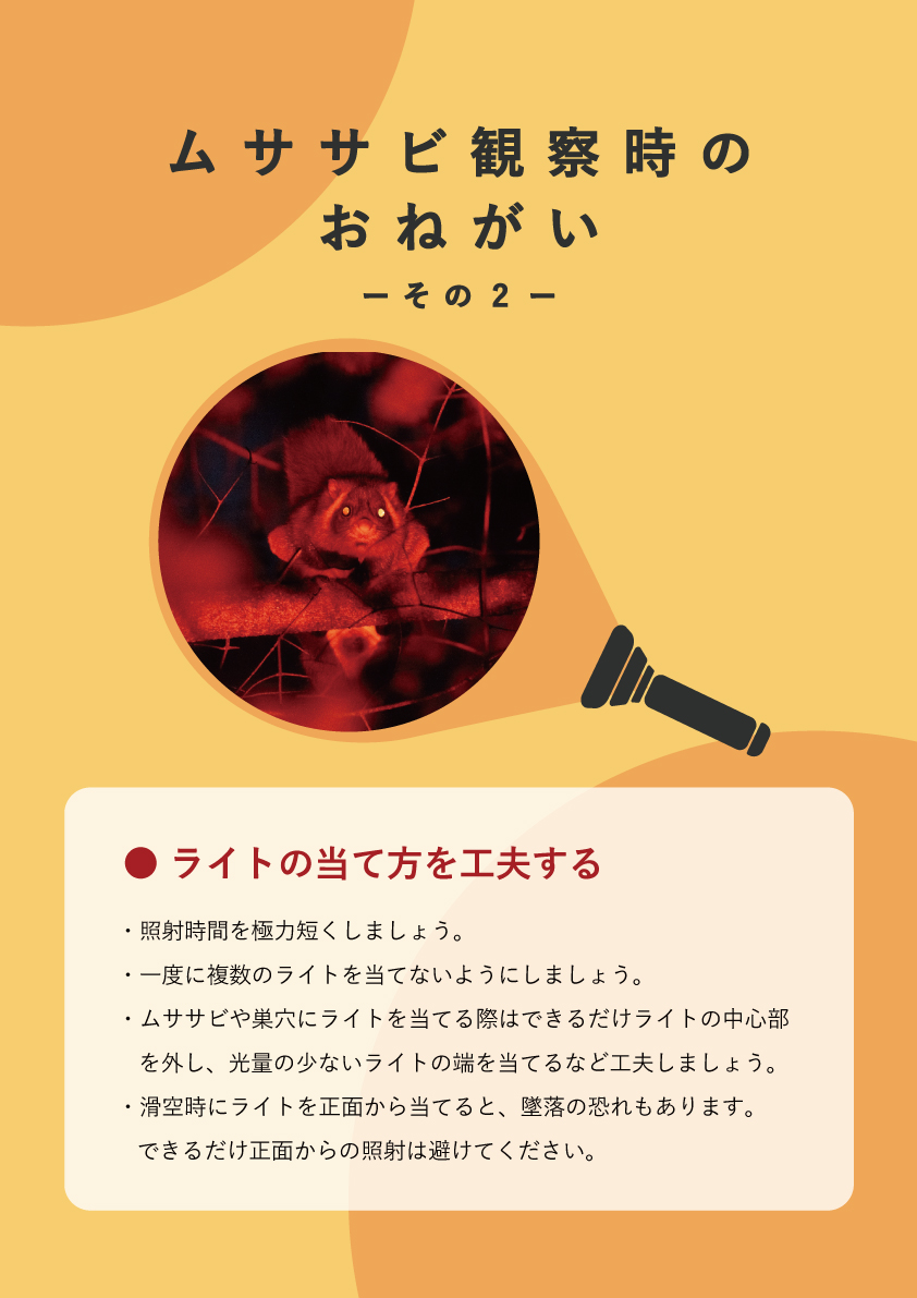 12月中旬はダイヤモンド富士を見たあとにムササビ観察をされる方が多い時期。
これからもムササビたちが安心して高尾山で暮らしていけるように「観察マナー」へのご協力をどうぞよろしくお願いします。

ムササビ観察マナー(全文)はこちらtakaovc.ces-net.jp/?p=5052

＃高尾ビジターセンター　＃ムササビ
