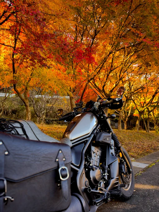 朝活紅葉ツーリングしてきた