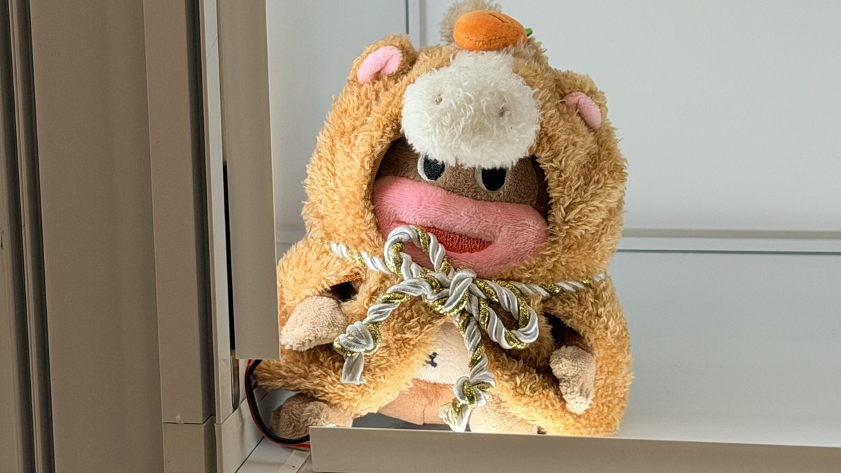 【受注制作】グリズリーの被り物(ベージュ) グリズリーパンダ‎ (@GRIZZRYPANDA) / Posts / X