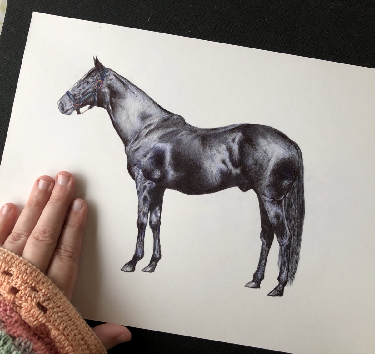 The Japanese race horse Manhattan Cafe! Done in ballpoint pen. 🖊️ 🏇 Still a lot to learn..