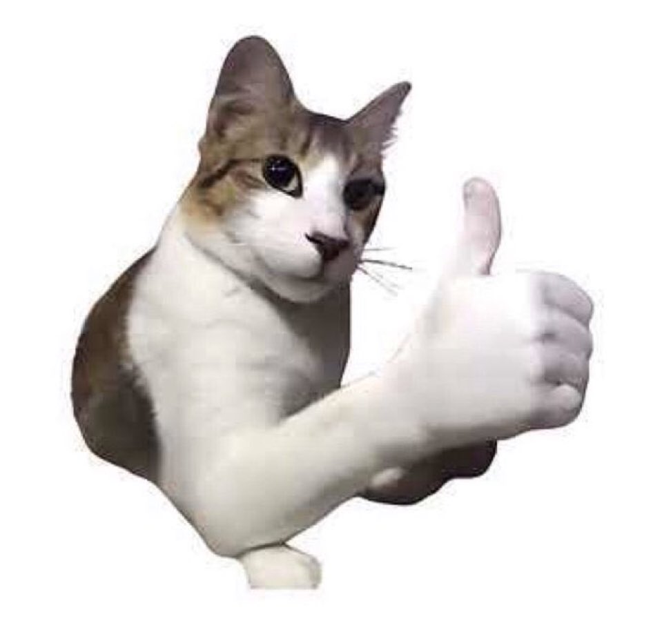 0xbQuery's tweet image. Only buying $good memes now.