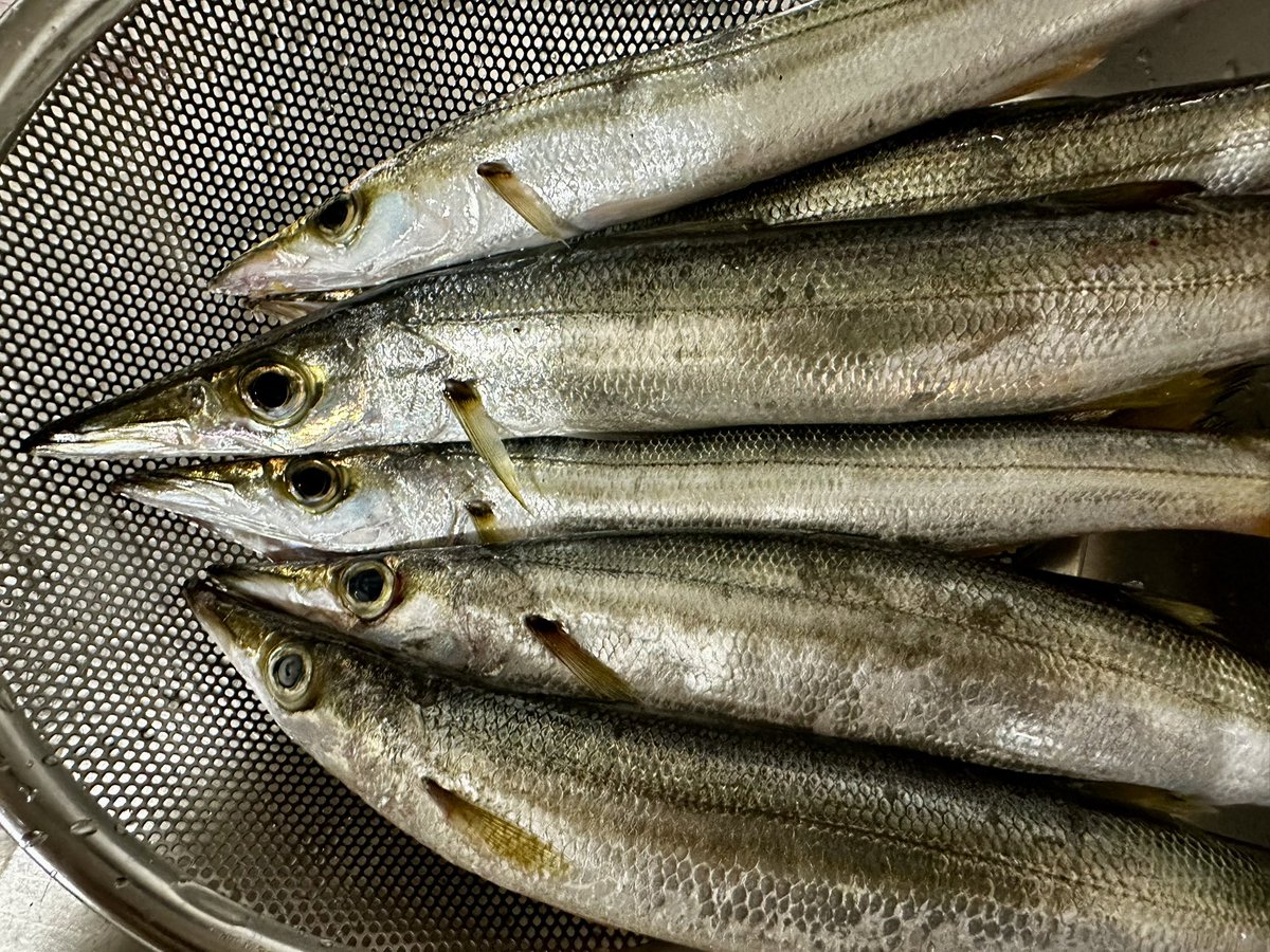 釣りキチゆうすけ(釣りすけ) (@yusukeyu0831) / Posts / X