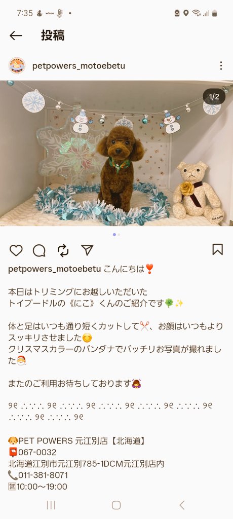 親バカなんだろうけど、可愛すぎませんか？笑 バンダナ付けてもらった