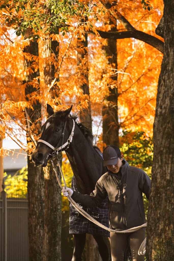 moca (@moca_moooi) / Posts and Replies / X