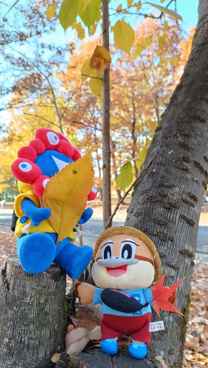 pepeco (@pepeco_pepepe) / Posts / X