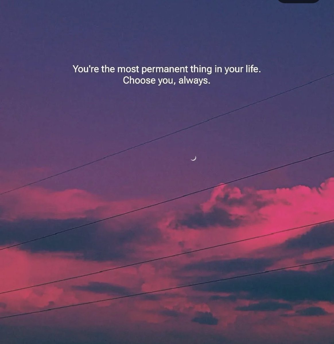 Synexdoche (@amor_fatti) on Twitter photo 