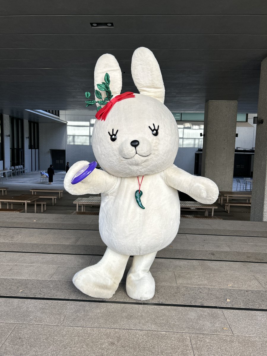 今日は、國學院大學でホームカミングデーが開催されたぴょん！
こくぴょんも参加して、院友の皆さんとたくさんお話したぴょん！
卒業しても会えるのはうれしいぴょん！
また来年も遊びに来てほしいぴょん(>ω<)

＃國學院大學　＃こくぴょん