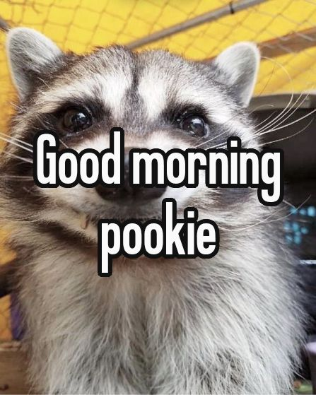 Scribble.fren tweet media