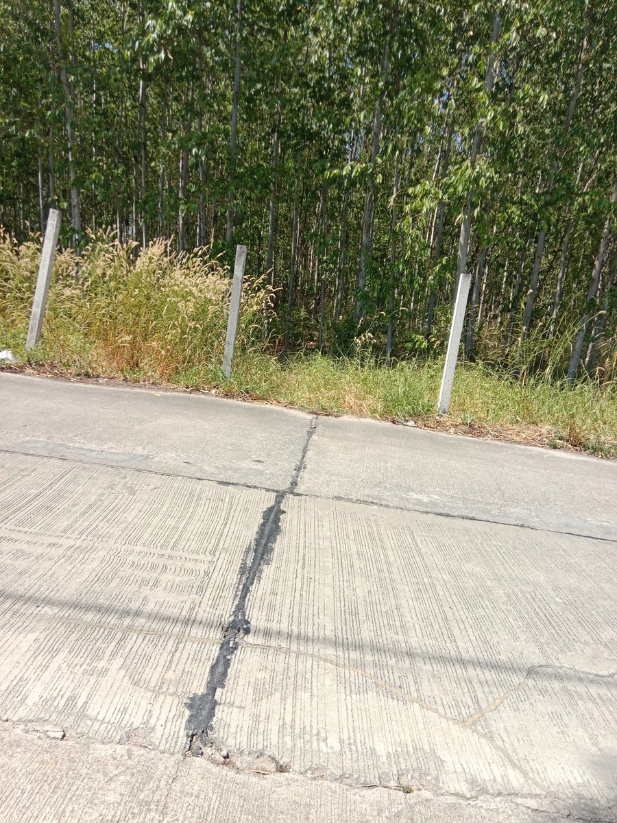 วันหยุด เข้าป่ากันครับ มีสาวๆไหมน้อแถวนี้😋
#ดอนหัวฬ่อ 
#หนองตําลึง 
#อมตะนครชลบุรี