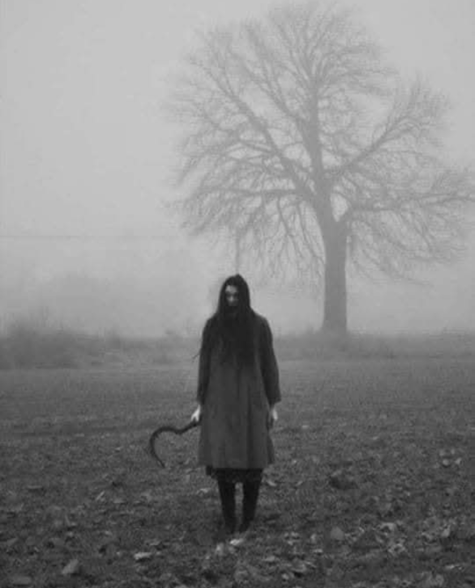 HerrrHorst's tweet image. La parte "d'Italia" dove vivo io, 4-5 mesi all'anno