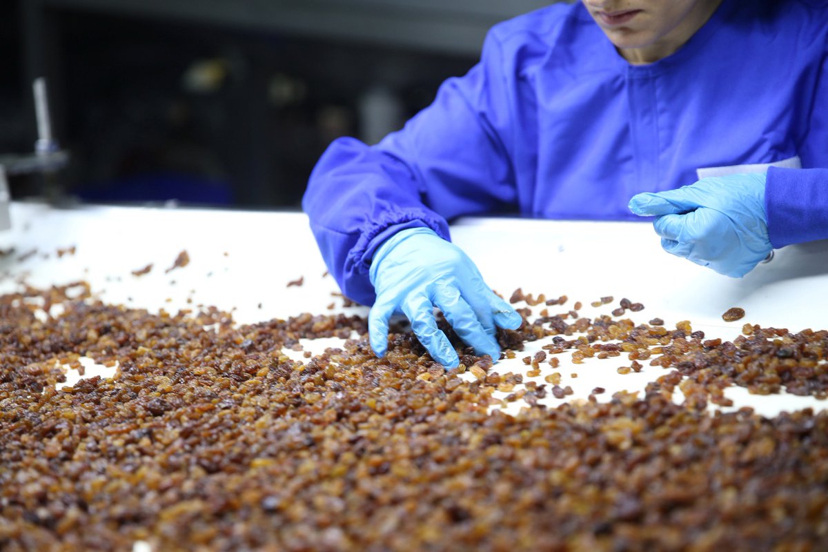 Kuru üzüm gümrükte kılık değiştirdi: Gıdada devasa hile!

✏️NURCAN ETİK /YENİGÜN

📌İklim krizi ve ekonomik koşullar nedeniyle zor süreçte olan kuru üzüm üreticileri, şimdi de kuru üzüm numarasıyla ülkeye giremeyen üzümün farklı bir ürün numarasıyla denetimsiz ve kontrolsüz bir