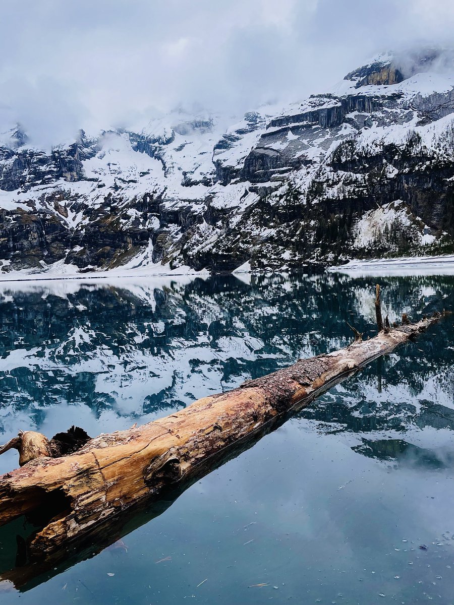 Burnasso tweet media