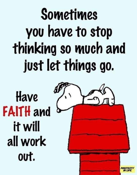 The Cat Corner (@cat_corner123) on Twitter photo 