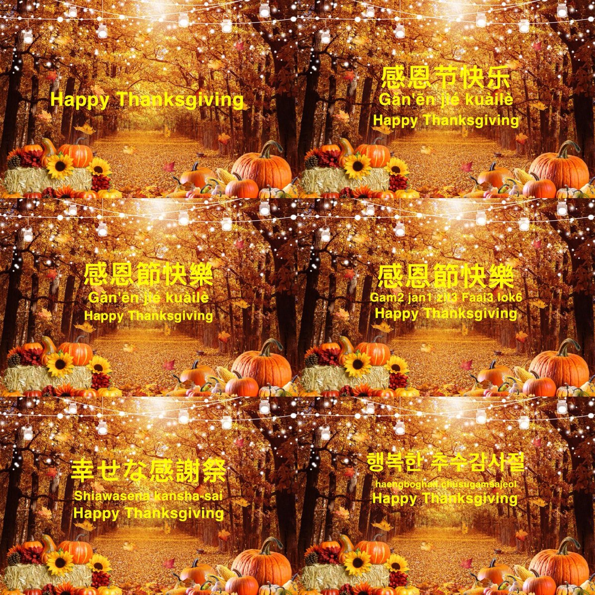ElizabethDalma4's tweet photo. Happy Thanksgiving https://t.co/delT5LracF