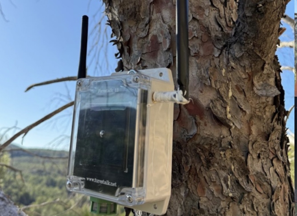 ✌️CIT <a href="/Rural_Tec/">Centro de Innovación Territorial RuralTEC</a> y  Conselleria de #Innovación impulsan sensorización en las Hoces del Cabriel. La medida, ya realizada en el #AltoTuria y #RincóndeAdemuz, incorpora una red de de detección de  #incendios y fenómenos meteorológicos en los dos parques
ruraltec.es/ruraltec-y-la-…