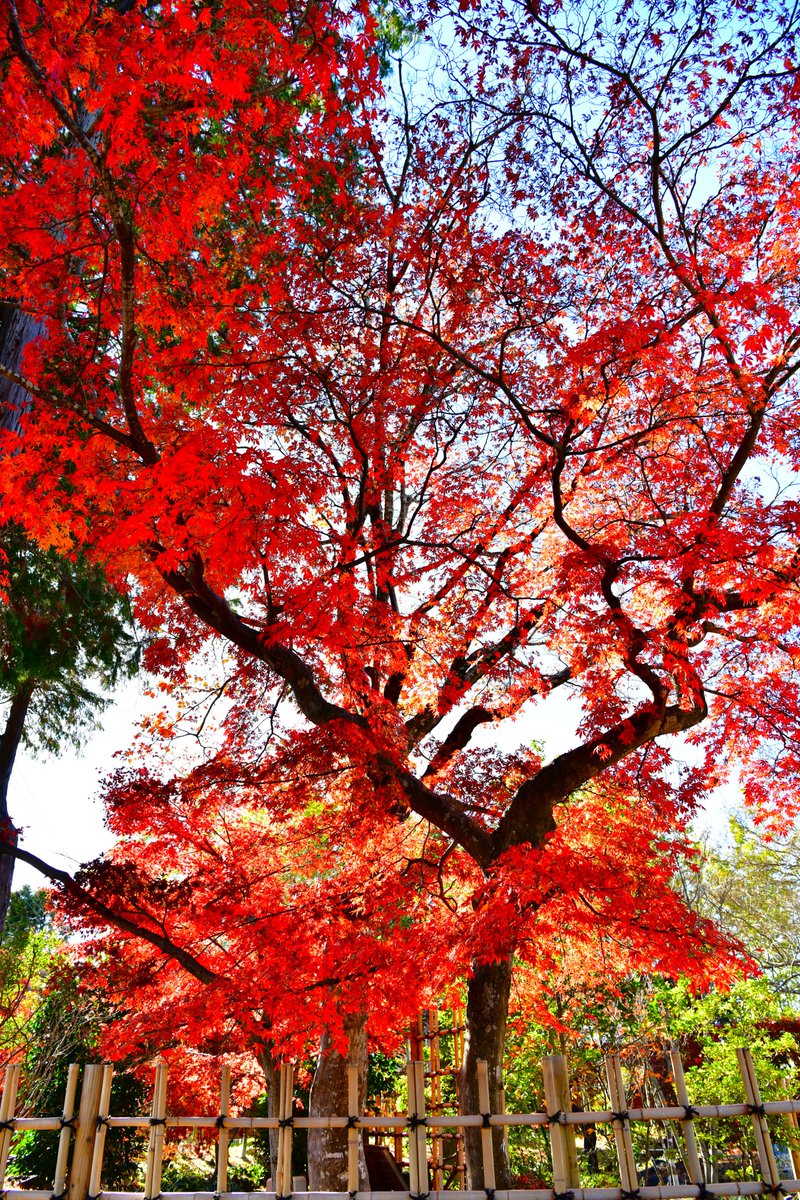 山梨県中巨摩郡昭和町 (@ShowaTown) / Posts / X