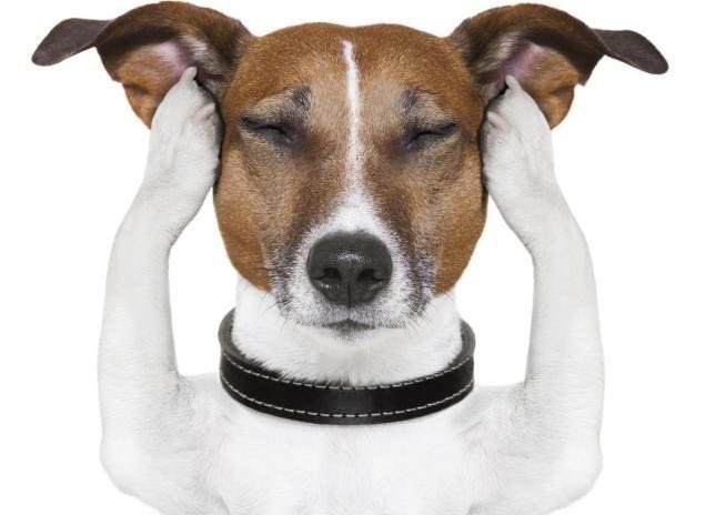 김빠홍 (@kim_bbahong) on Twitter photo 