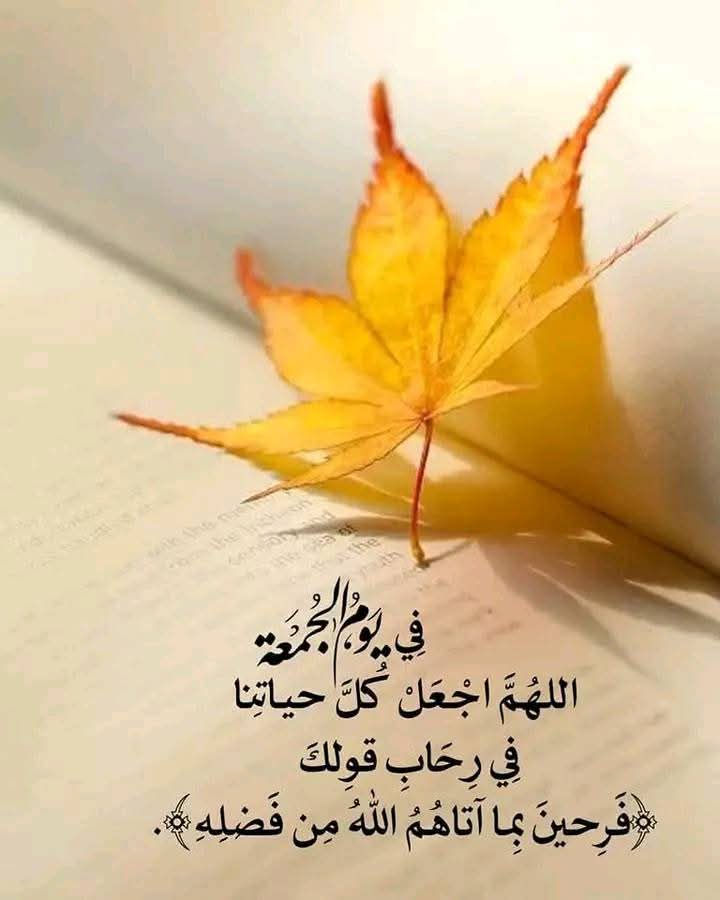 alibinmasoad's tweet image. 