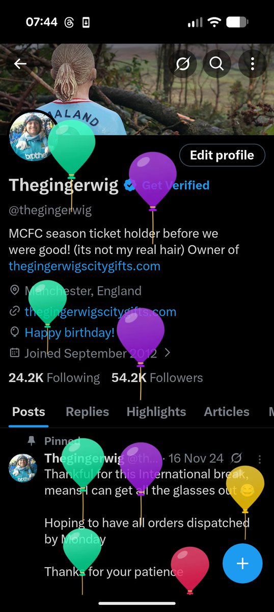 Thegingerwig tweet media