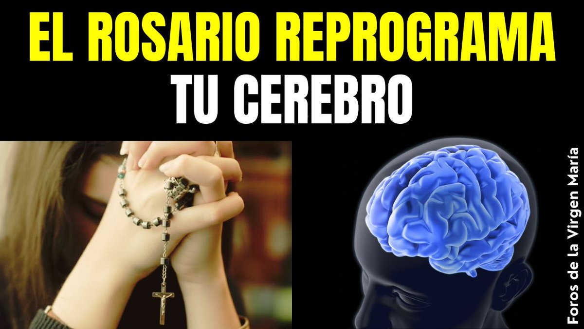 forosvirgen's tweet image. 🎬 ¡IMPACTANTE! Los Cambios Físicos Reales al Rezar el Rosario ¿Cómo?
Ver video 👉 youtu.be/Ja7zEnfL6Zg

#Rosario #Sobrenatural #Neurociencia #Oración #Fe #CuerpoYAlma #Conversión #ForosdelaVirgenMaria