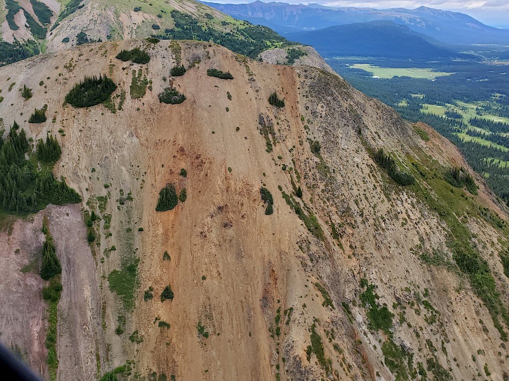 AlphaBronze tweet media