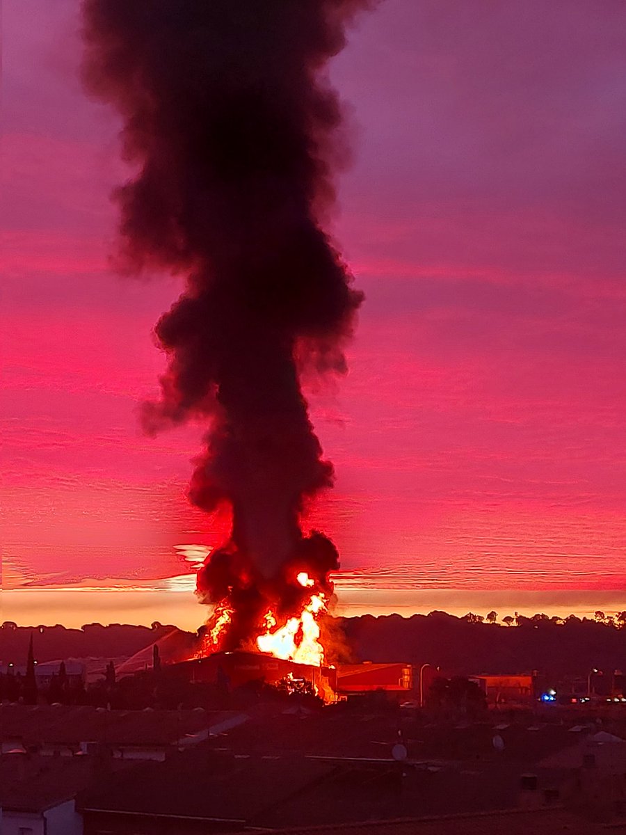 Núria Casademunt 💜💜💜 tweet media