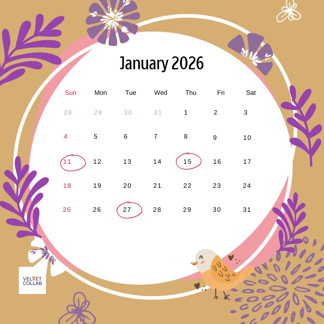 Velvet Collab tweet media