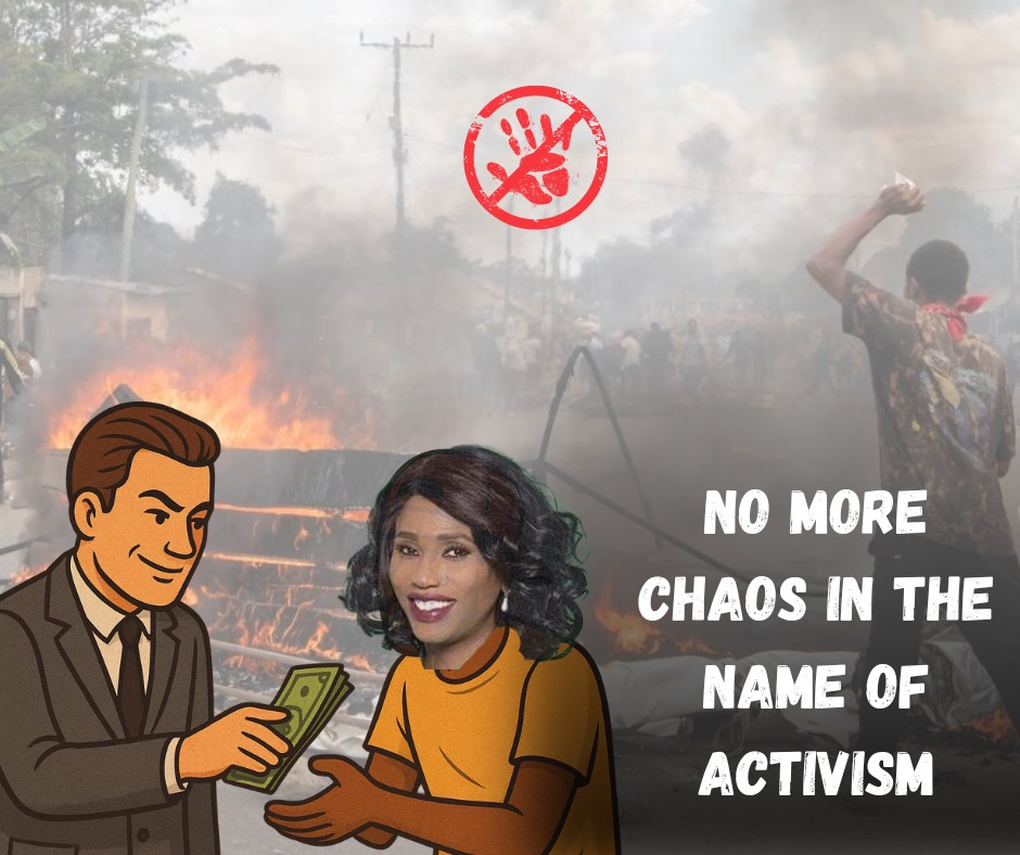 m_c_3_3's tweet image. No nation should be destabilized for someone else’s political gain. Stand up to Safeguard Democracy. #StopPaidActivists #PeaceNotPaidProtests