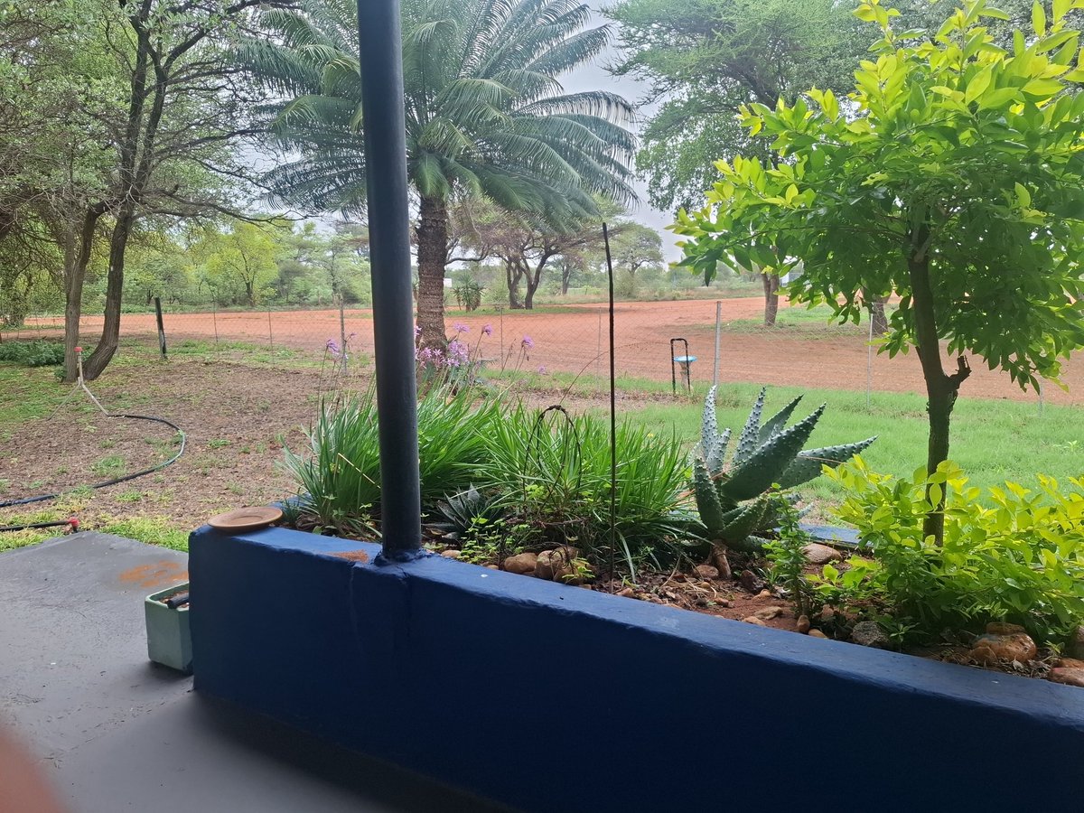 I just like being around trees, nothing crazy