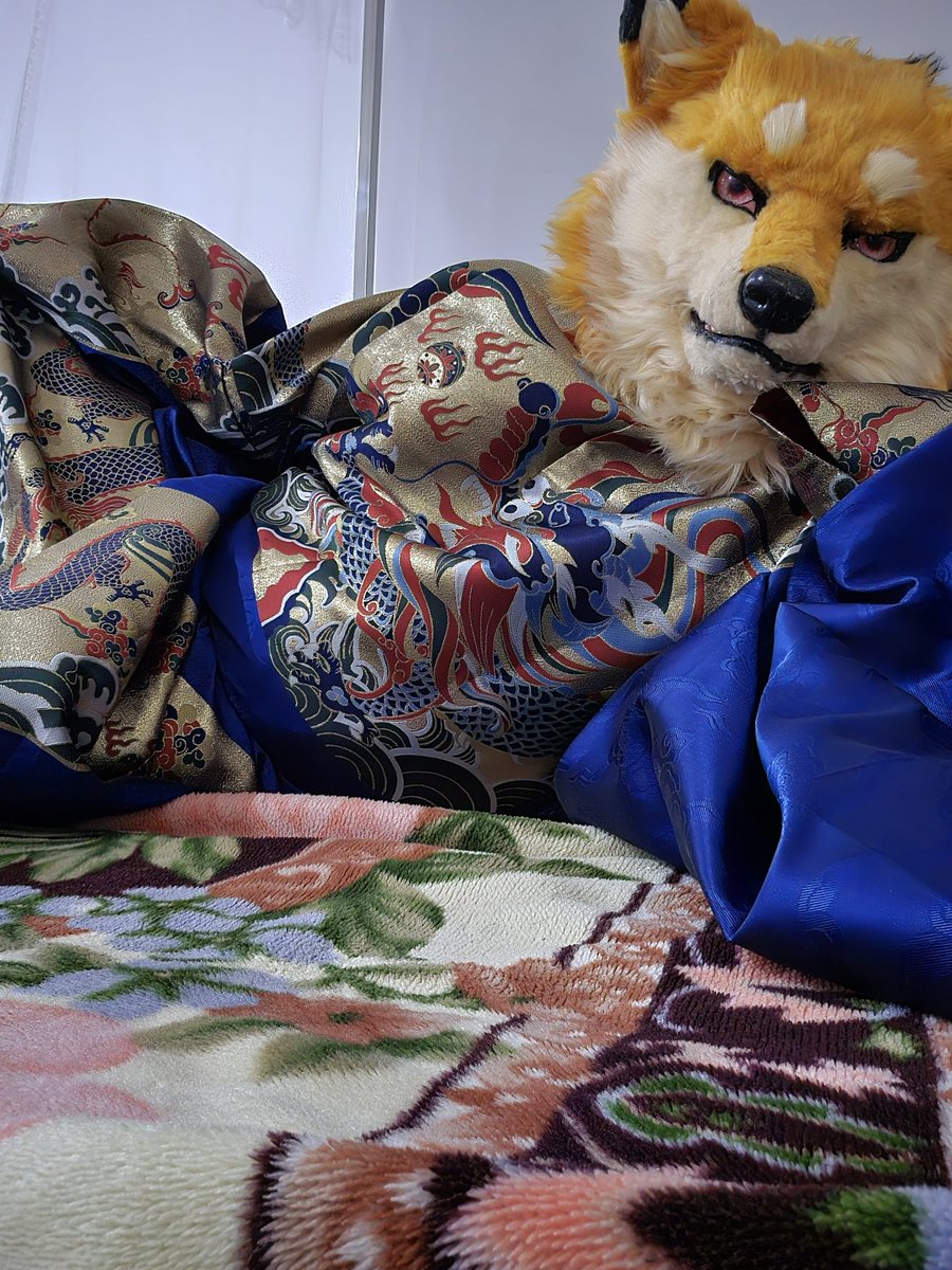 #FursuitFriday 毛五！