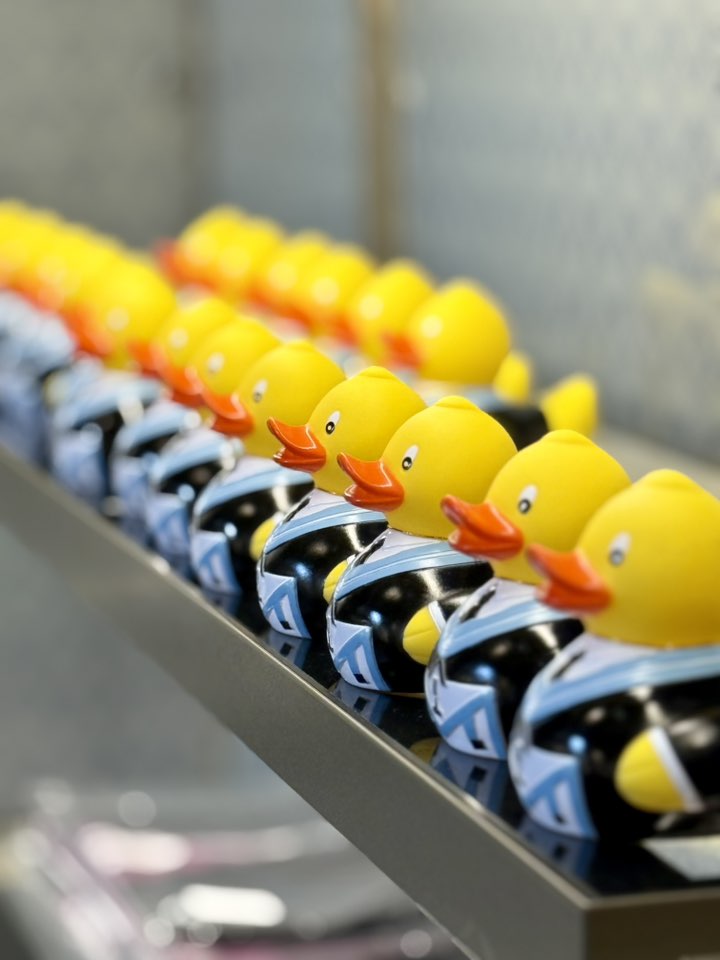 Ask Solomon tweet media