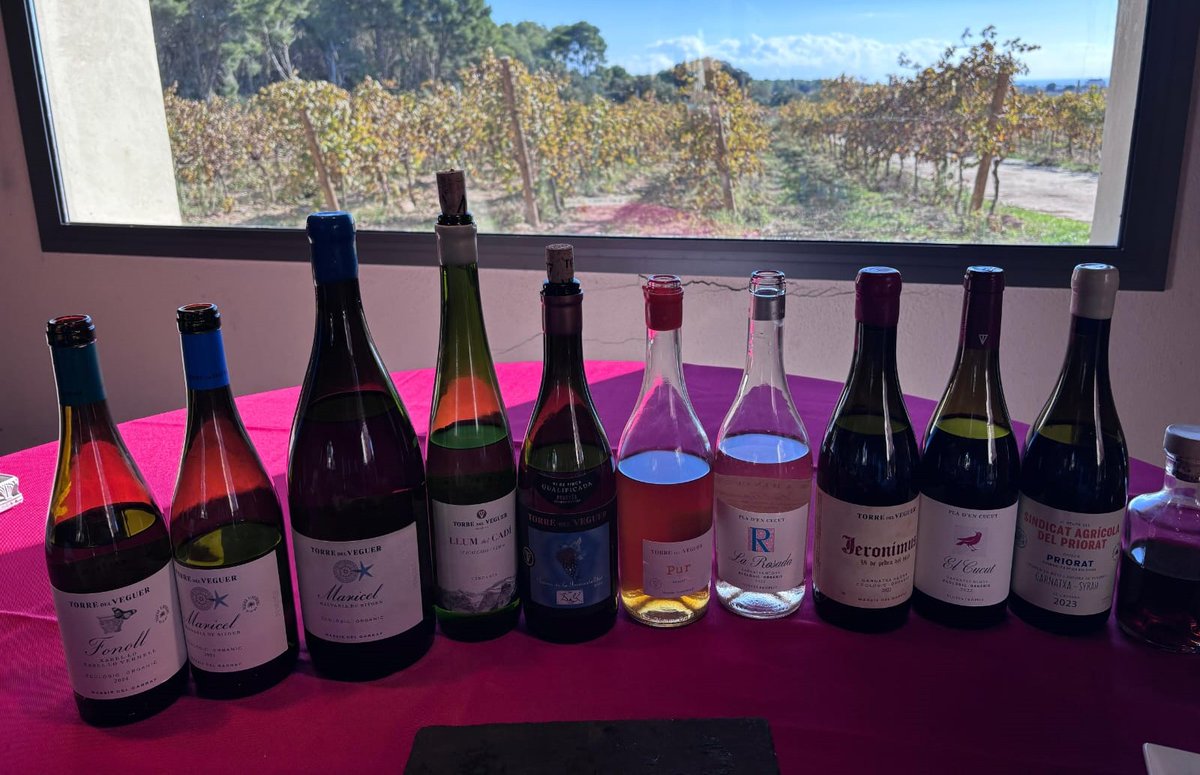 avinicolacat's tweet photo. Una altra jornada de @Wine_Cuentista pel #Penedès.
@TorredelVeguer  #EnclosdePeralba

#2026catalunyareport
@timatkin 🍷

#vicatalà #wineculture #winlovers #culturadevi #somvicatalà https://t.co/3zWVIgGW6r
