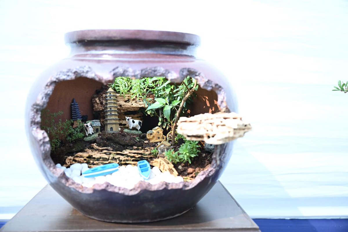 mybmc's tweet image. 🌳बृहन्मुंबई महानगरपालिका, वृक्ष प्राधिकरण आणि मुंबईतील जपानचे महावाणिज्य दूतावास यांच्या संयुक्त विद्यमाने प्रथमच भरविण्यात आलेल्या बोन्साय आणि ओरिगामी कला प्रदर्शनाचे भायखळा येथील वीरमाता जिजाबाई भोसले वनस्पती उद्यान आणि प्राणिसंग्रहालयात आज उद्घाटन झाले. 

🔹बृहन्मुंबई…