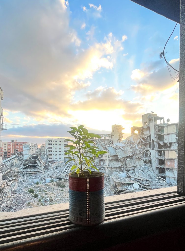 Good morning from Gaza