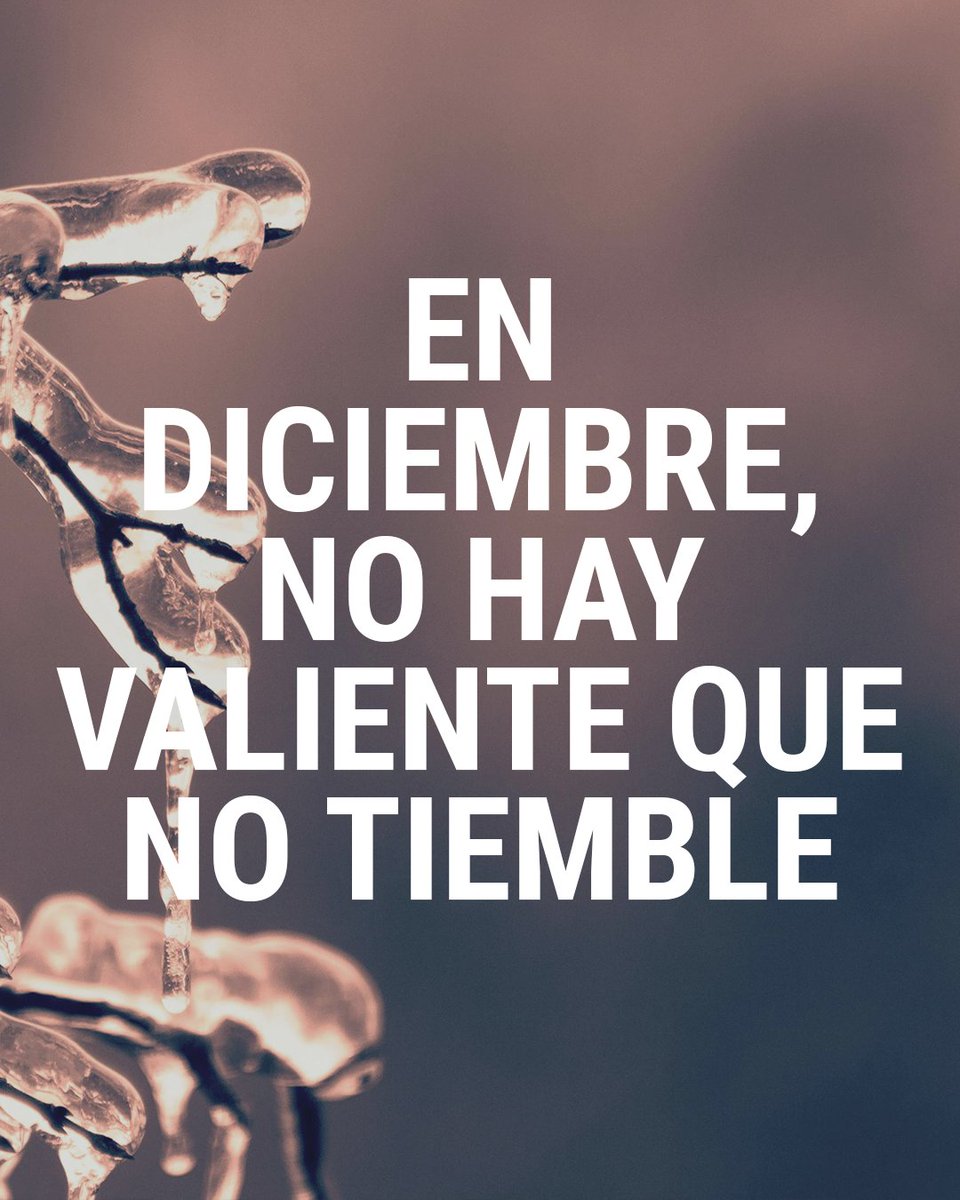 ¡HOLA #DICIEMBRE, HOLA NAVIDAD!
Llegas con luces, planes bonitos y esa chispa que lo cambia todo.
En Plasticosur ya estamos listos para llenarte el mes de ideas, decoración navideña y detalles que hacen hogar.
Que empiece la magia… Team #Navidad desde ya o te lo tomas con calma?