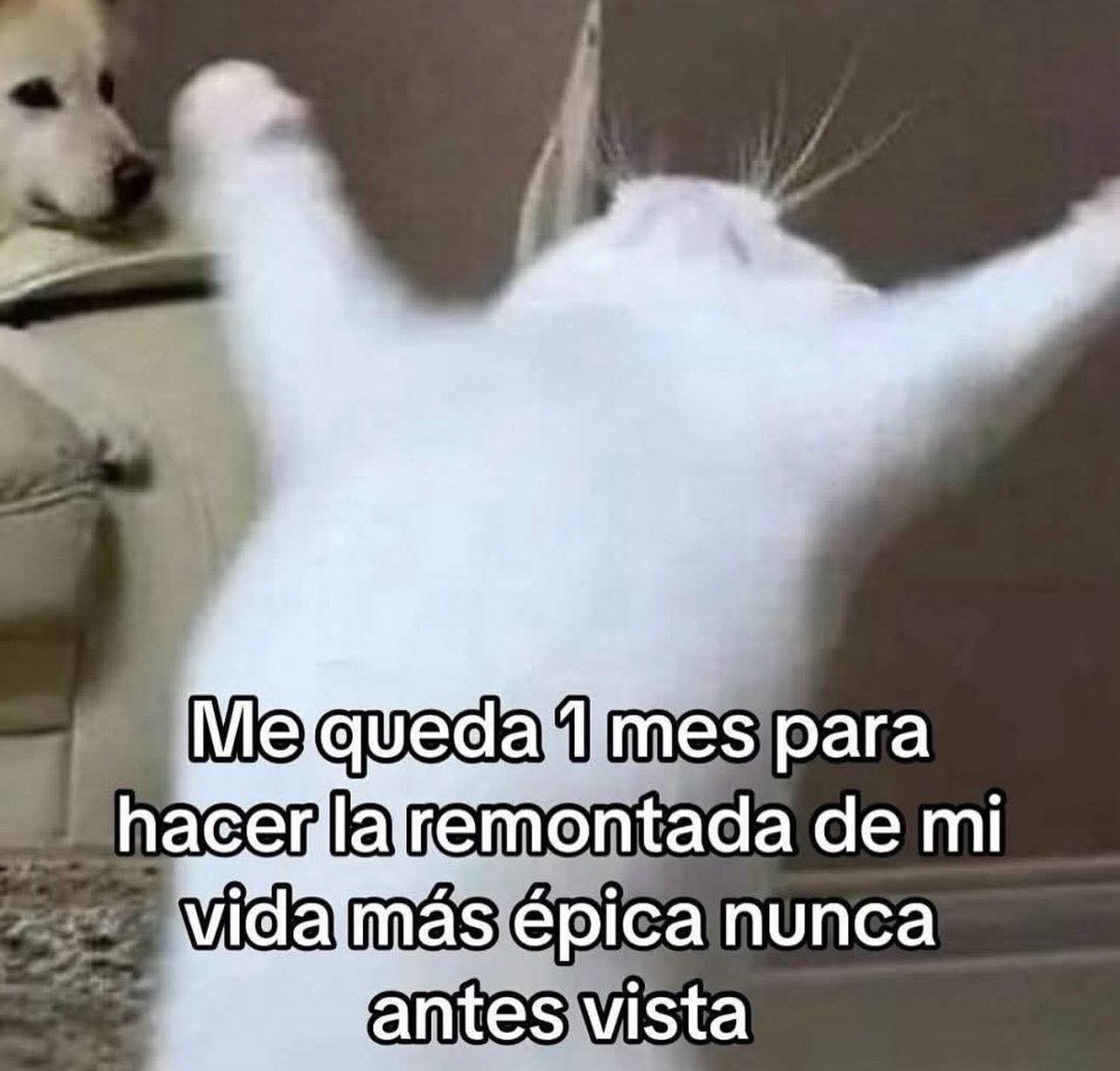 En Júpiter tweet media