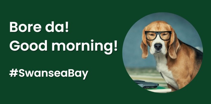 Bore da! Good morning!

First up today we will take a look at the vacancies currently on offer with <a href="/SwanseaCouncil/">Swansea Council</a> - ow.ly/c1X350WhnN3 

We post jobs and career advice from 8am to 8pm daily - follow us to make sure you do not miss out <a href="/JCPinSwanseaBay/">JCP in Swansea Bay</a>

#SwanseaJobs
