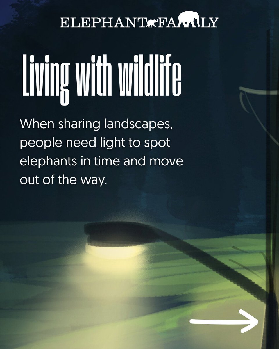 Elephant Family tweet media