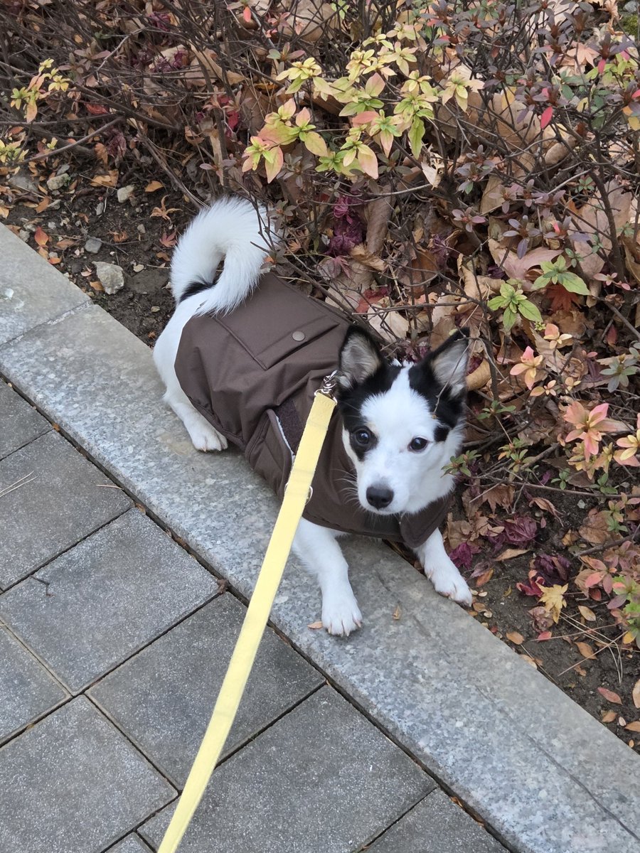 명령하지 마라 천천히 갈거다