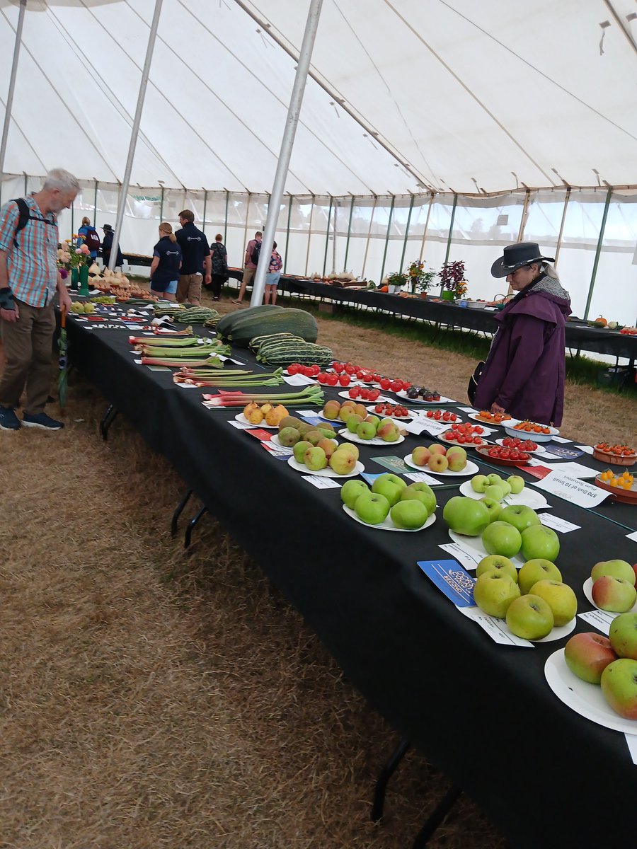 Lorrain06924262's tweet image. #AlphabetChallenge ##WeekVforVowels Apples ready for judging at the Dorset County show