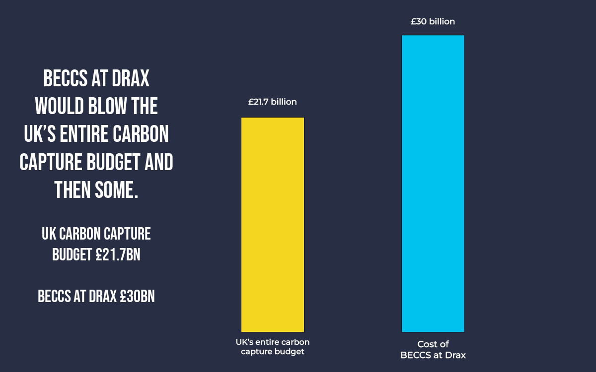 Cut Carbon Not Forests tweet media