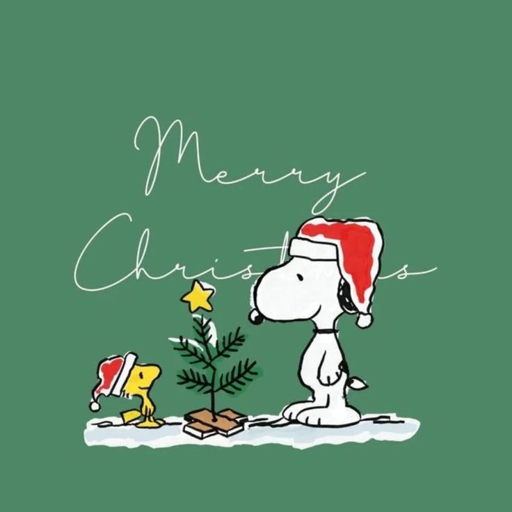 Meow & Magic (@mmeow_magic) on Twitter photo 