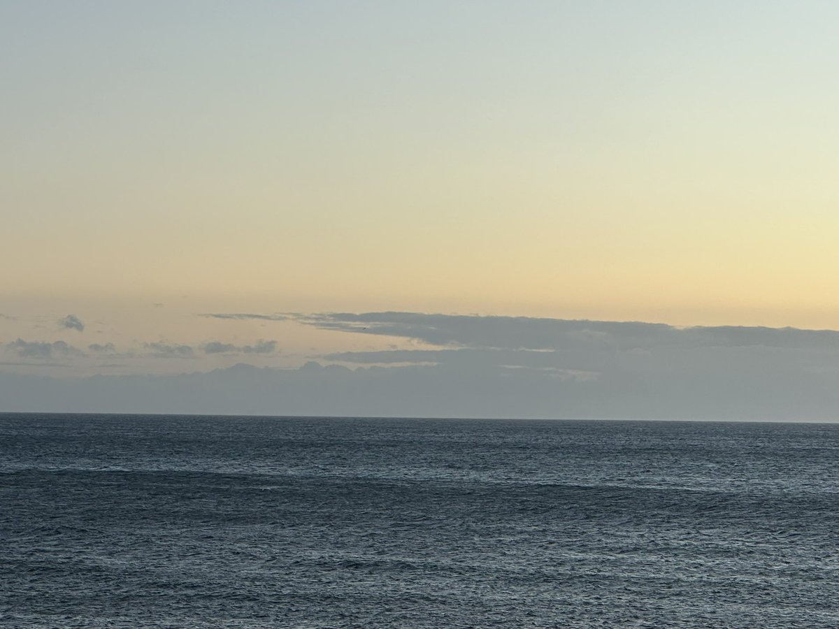 28th November 2025  08.03